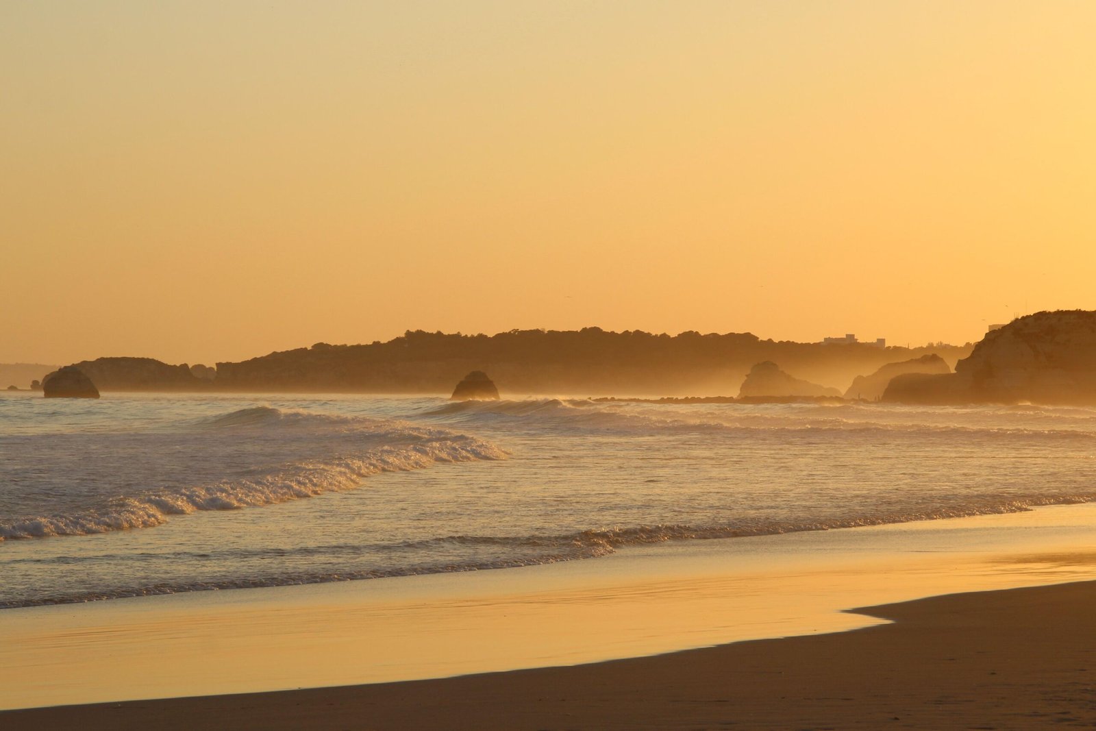 Costa Portugal UK UCAS Clearing Success