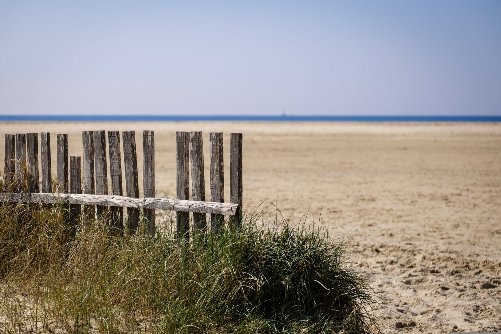 Tarifa Beach, Spain UK UCAS Clearing Success